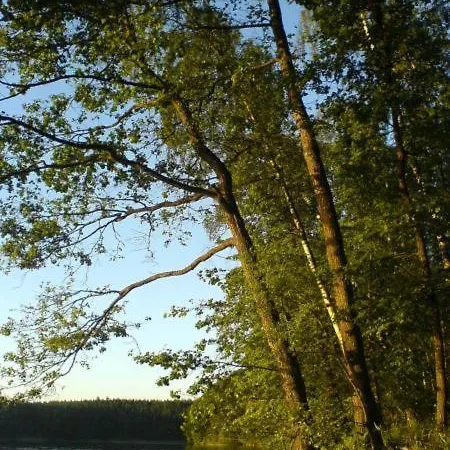 Przy Lesie Kurzetnik