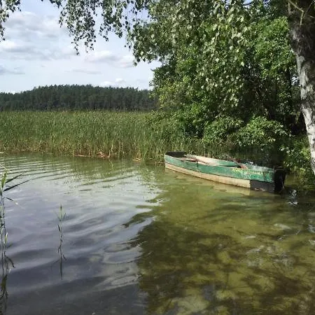 Przy Lesie * Kurzetnik
